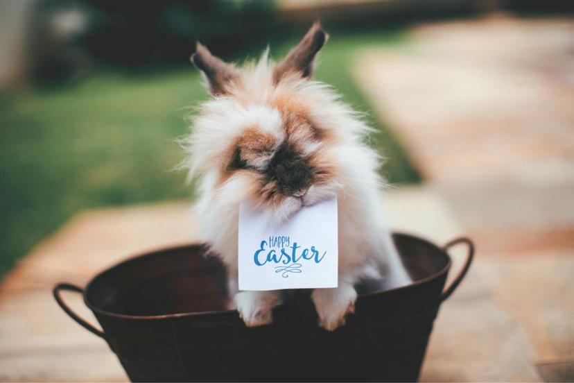 Easter
